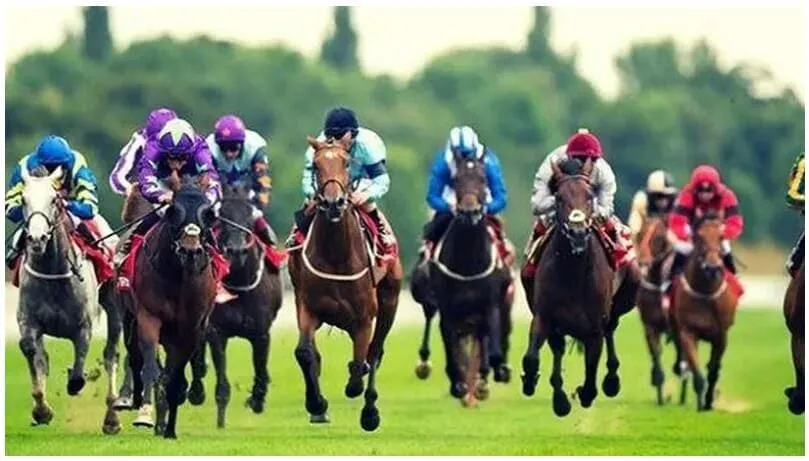 Cá Cược Đua Ngựa – Mẹo Đặt Cược Cực Đẳng Cấp 2024 2 Cách cá cược đua ngựa hiệu quả