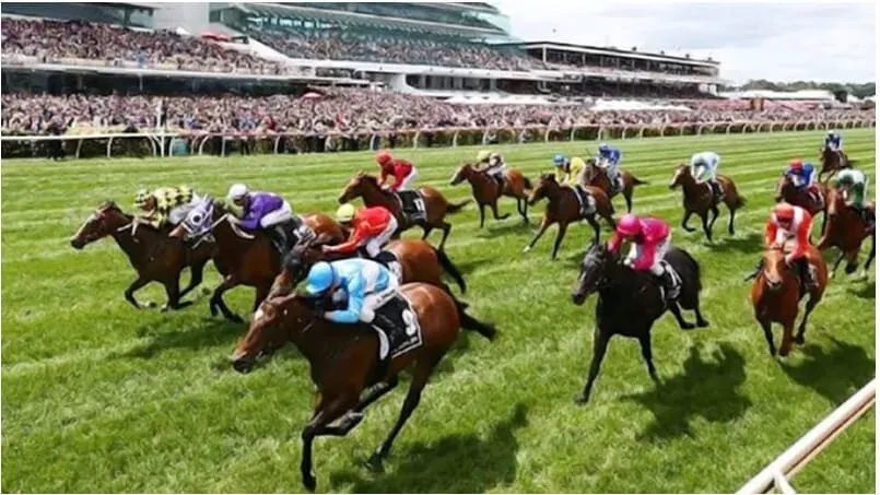 Cá Cược Đua Ngựa – Mẹo Đặt Cược Cực Đẳng Cấp 2024 3 Những lợi ích khi cá cược đua ngựa