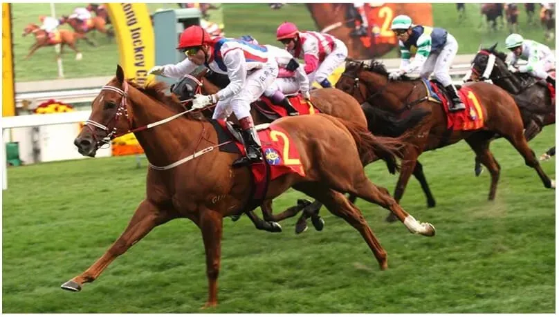 Cá Cược Đua Ngựa – Mẹo Đặt Cược Cực Đẳng Cấp 2024 4 Các chiến thuật cần biết