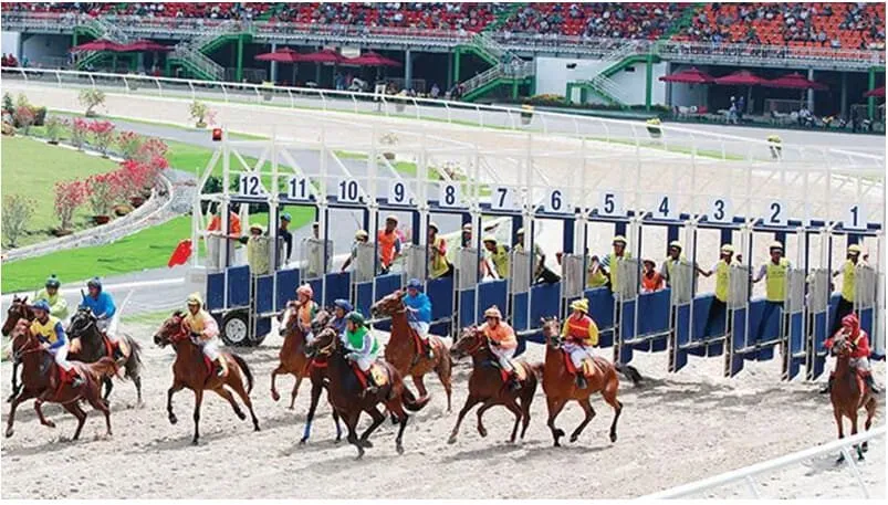 Cá Cược Đua Ngựa – Mẹo Đặt Cược Cực Đẳng Cấp 2024 5 Tìm hiểu về các loại cá cược đua ngựa