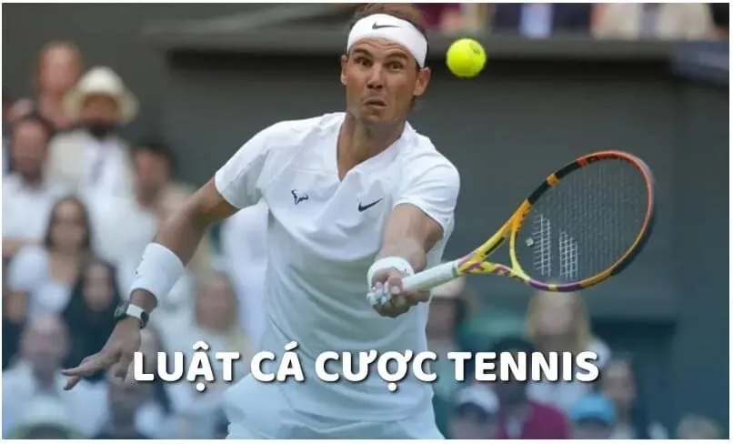 Cá Cược Tennis Là Gì, Bắt Kèo Cực Chuẩn Tại Zbet 2024 4 Lưu ngay luật cá cược tennis cơ bản