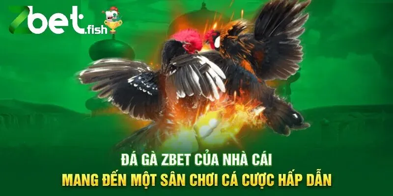 Đá Gà Zbet 1 Đá Gà Zbet của nhà cái mang đến một sân chơi cá cược hấp dẫn