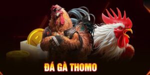 da ga thomo zbet 1