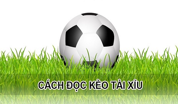 Kèo Tài Xỉu Zbet - Một Trong Những Kèo Hot Nhất 2025 4 Kèo tài xỉu 2.0