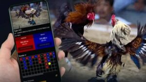 truc tiep da ga c3 zbet 1